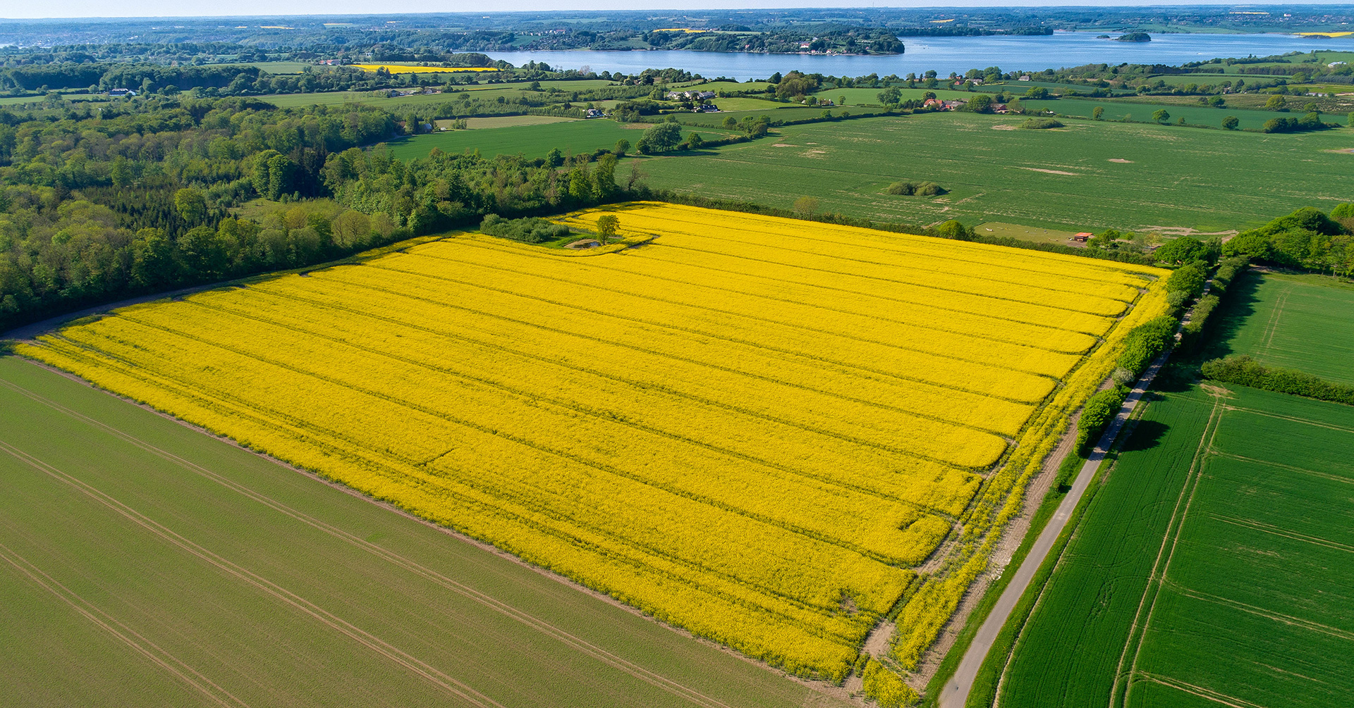 Præcisionlandbrug