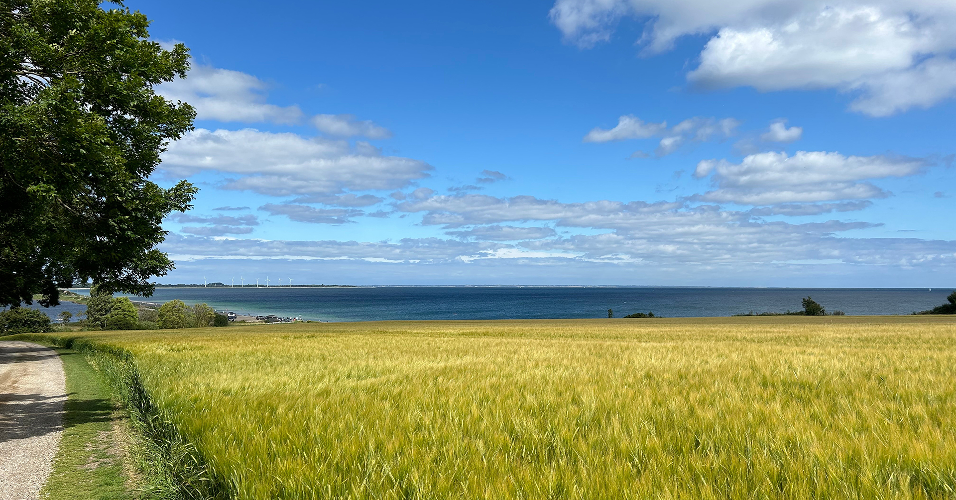 Grøn trepart trepartsmøde
