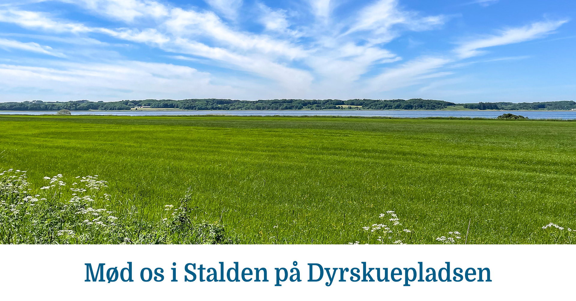 Det Fynske Dyrskue