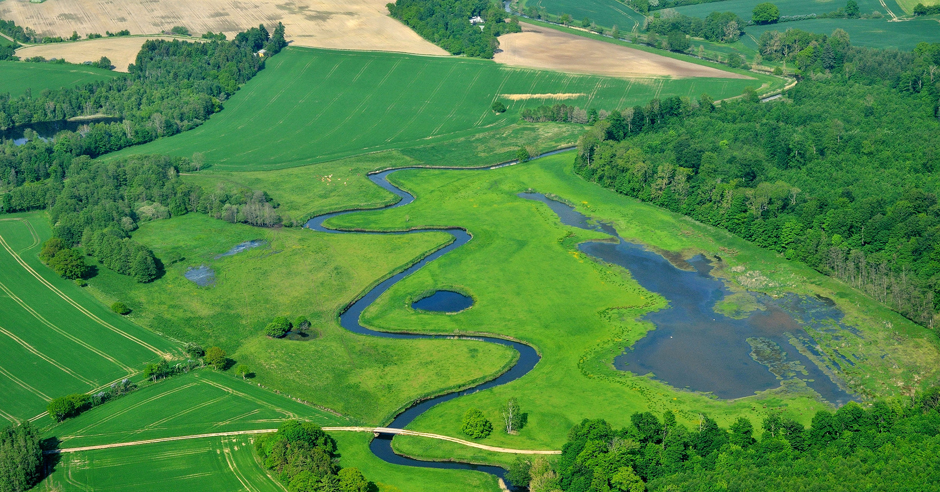 vådområde